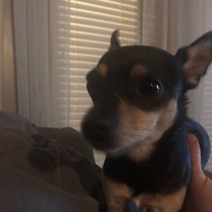 Meet your Posher, Tyler